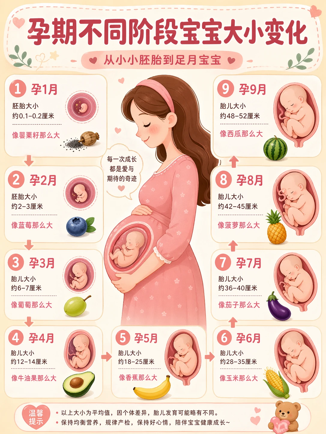 KI-generierte Schwangerschafts-Infografik mit Babygrößen-Vergleich über 9 Monate und süßen Früchte-Referenzen
